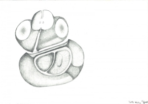 Æble In Space